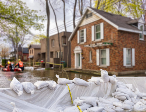 Evaluating Your Flood Insurance Options