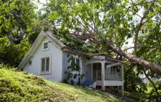 Insurance Claims - NREIG